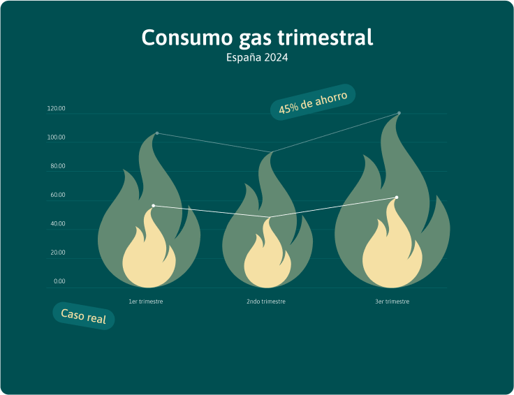 Gráfico de consumo gas anual
