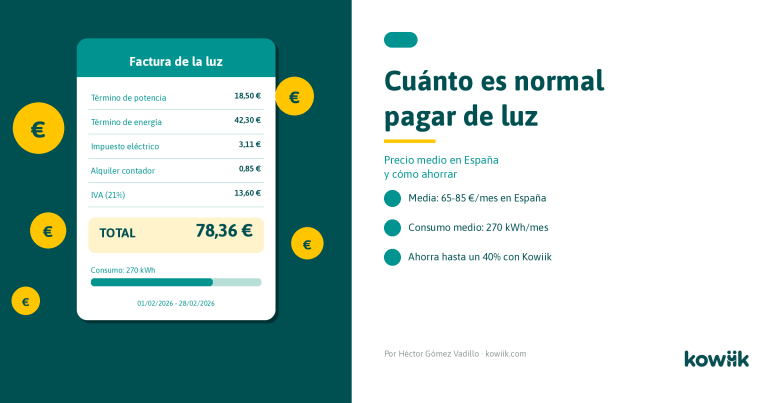 cuánto es normal pagar de luz al mes