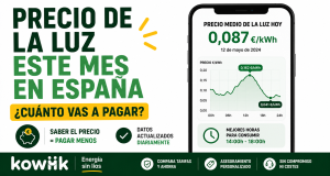 cuánto es normal pagar de luz al mes